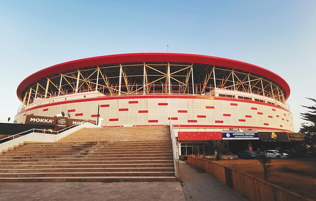 为球队的胜 为球队的胜